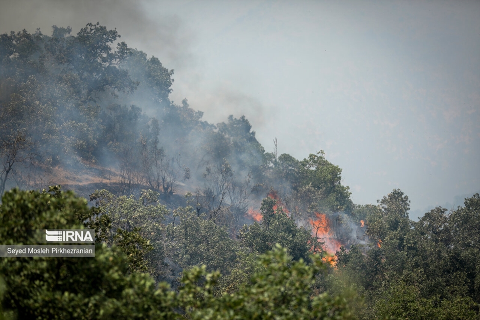 آتش سوزی جنگلهای بلوط زاگرس
