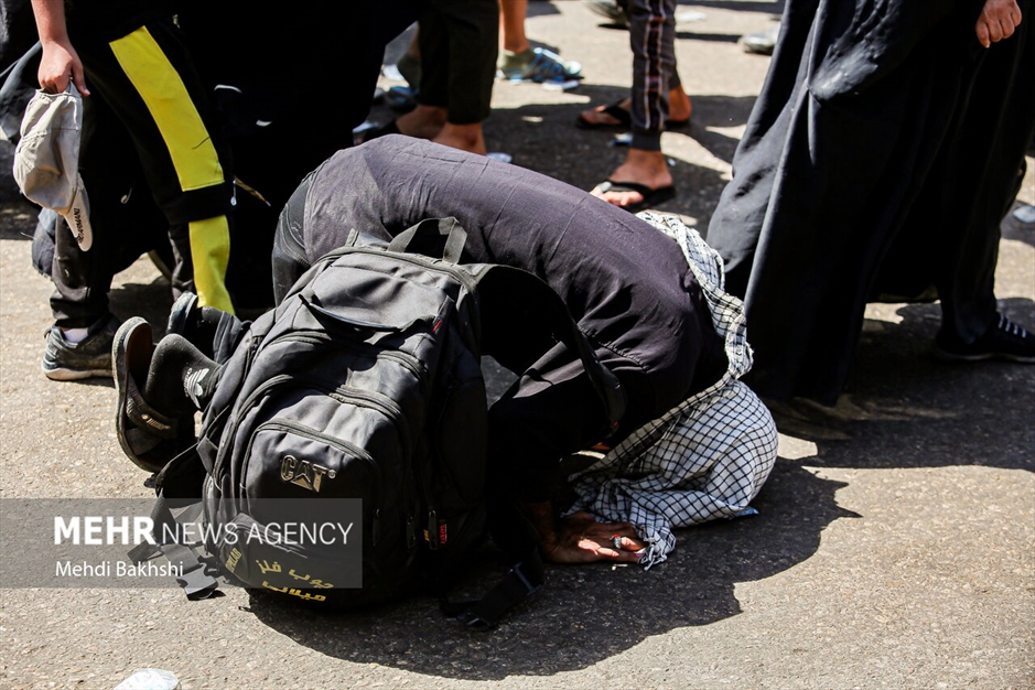 عاشقی در عمود سلام