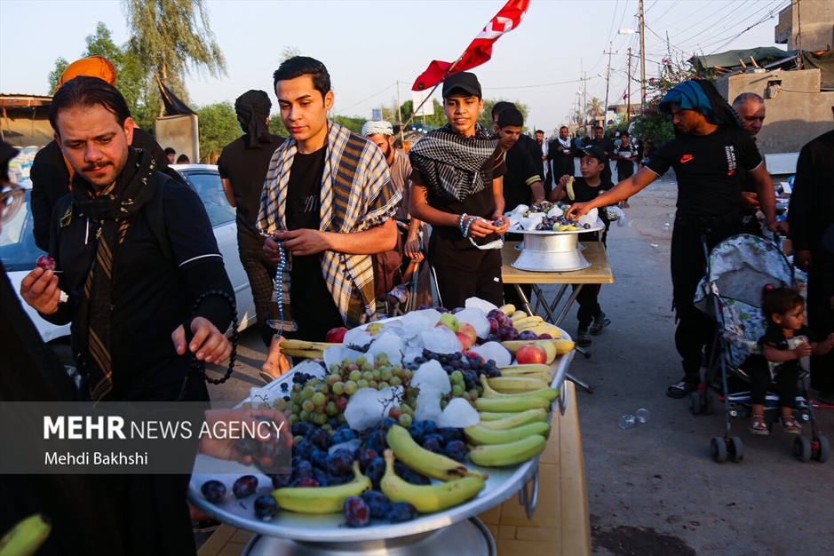 پیاده روی زائرین اربعین در منطقه بابلِ عراق