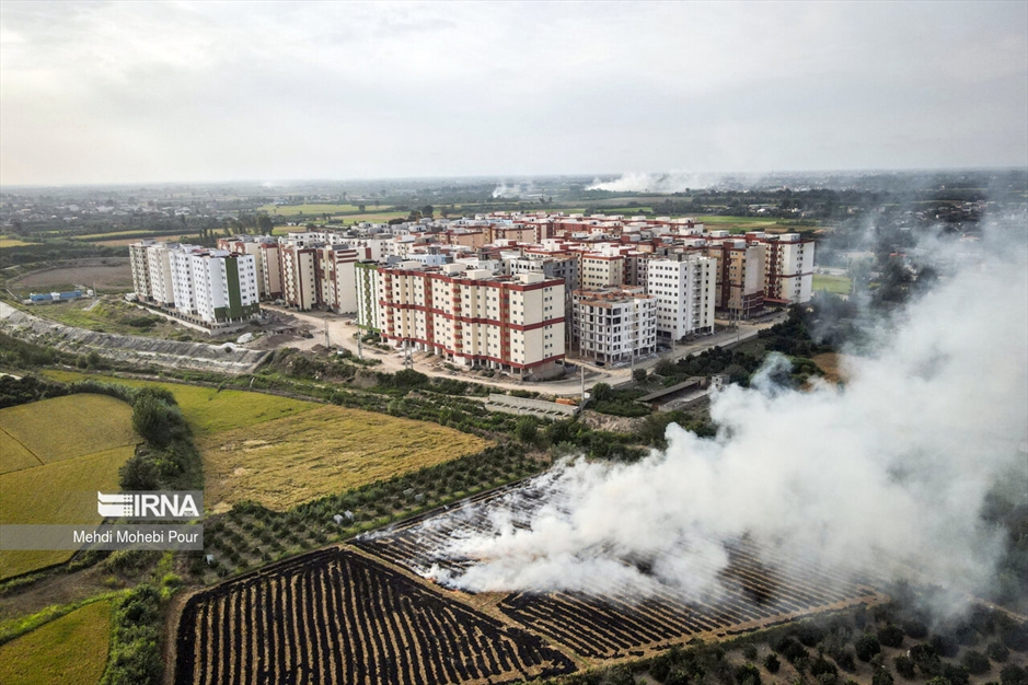 آتش زدن کاه؛ مرگ تدریجی شالیزارها