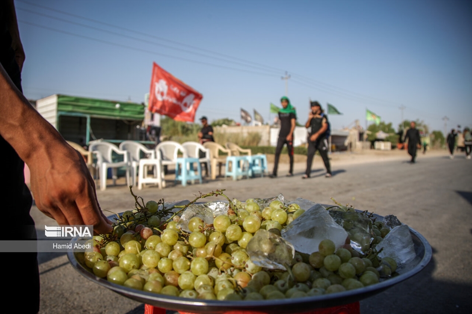 پیاده روی اربعین- دیوانیه