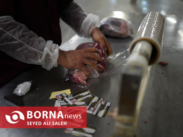 توزیع گوشت گرم وارداتی با نظارت وزارت جهاد
