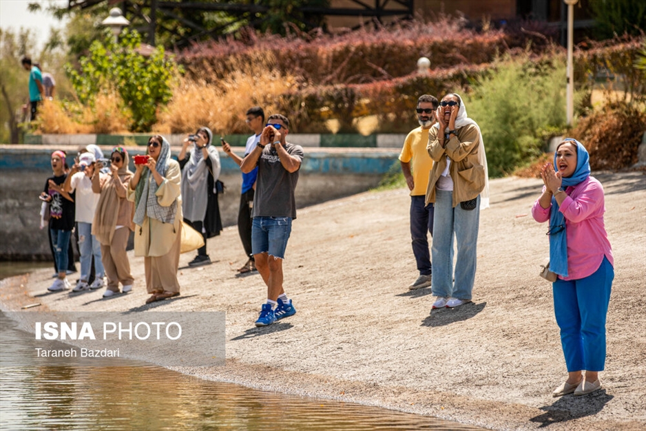 مسابقات المپیاد استعدادهای برتر قایقرانی بانوان کشور