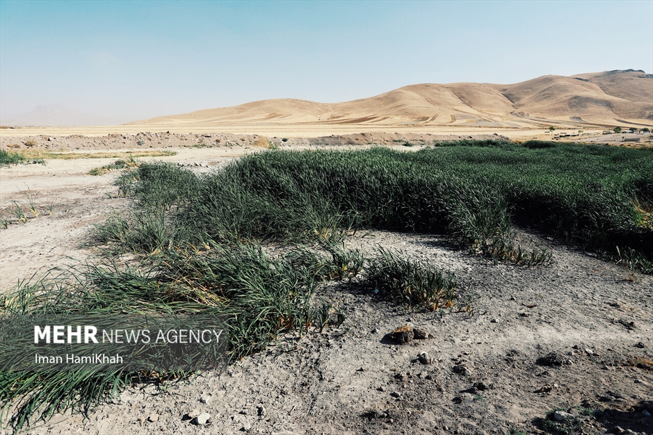 نفس‌های آخر «تالاب پیرسلمان»