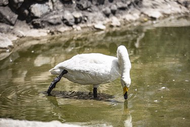 کلینیک بازپروری پارک پردیسان