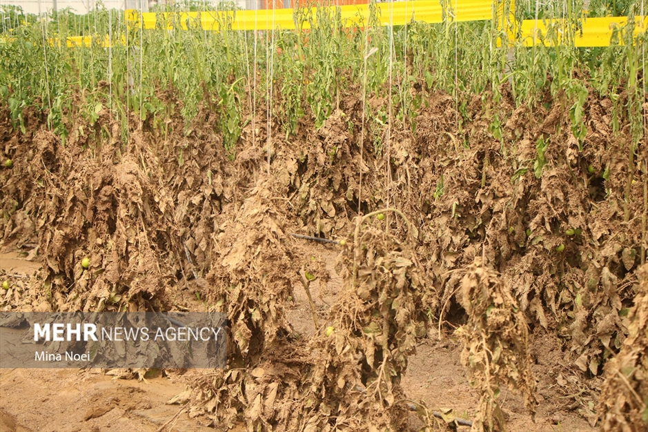 بازدید خبرنگاران از آخرین وضعیت مناطق سیل زده اهر