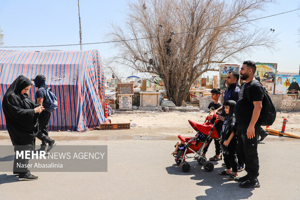 در این جاده قدم زدن چه زیباست