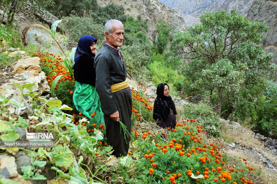 «اورامانات» قلب گردشگری کردستان