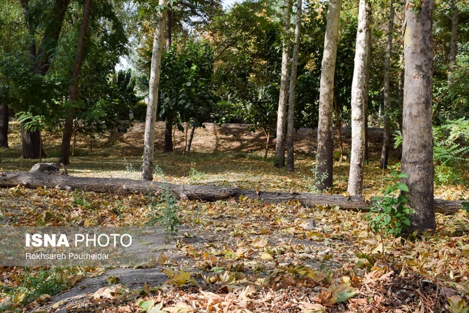 خزانِ تابستانه