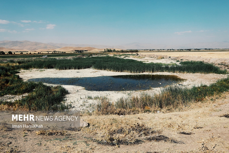 نفس‌های آخر «تالاب پیرسلمان»
