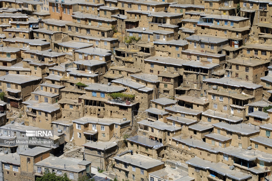 تولید کشمش «بولاو»