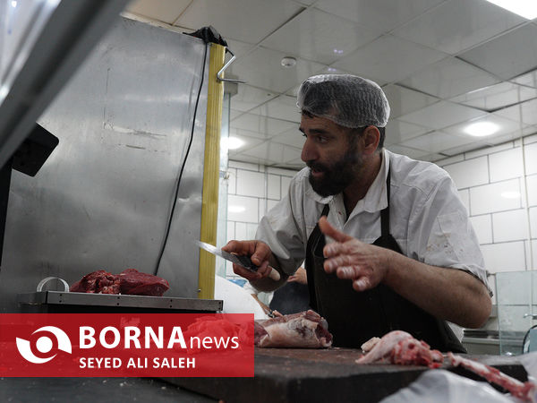 توزیع گوشت گرم وارداتی با نظارت وزارت جهاد