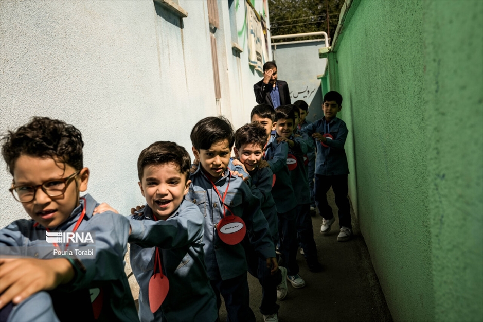 جشن شکوفه ها