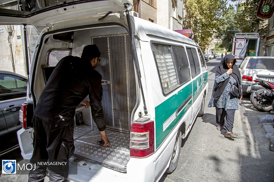 بازسازی صحنه درگیری و قدرت نمایی اراذل و اوباش در منطقه زمزم تهران 