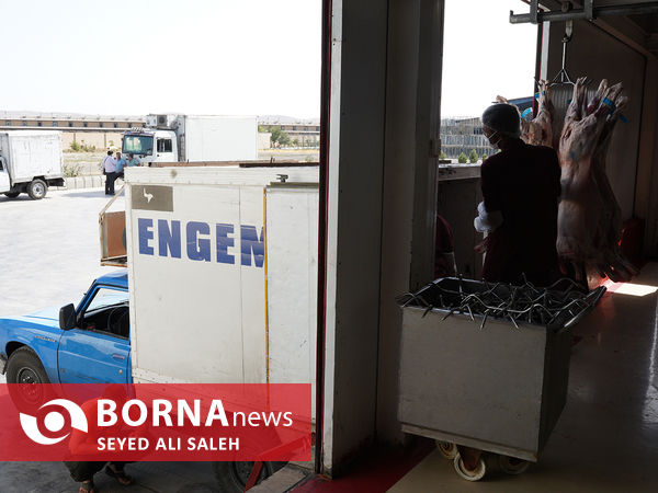 توزیع گوشت گرم وارداتی با نظارت وزارت جهاد