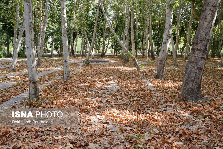 خزانِ تابستانه