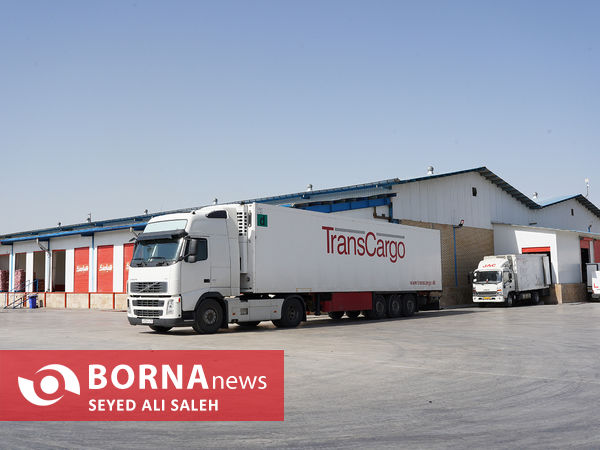 توزیع گوشت گرم وارداتی با نظارت وزارت جهاد