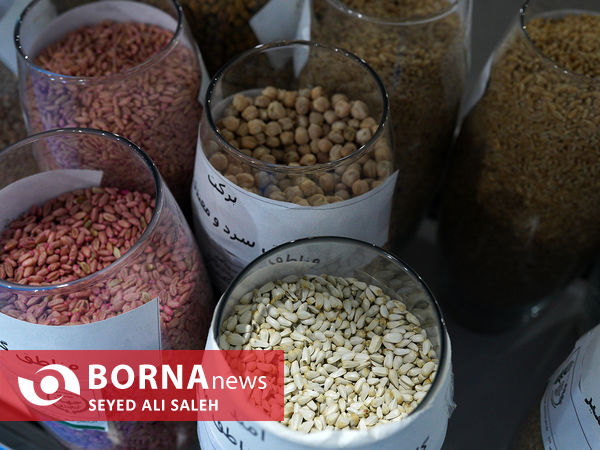 نمایشگاه روایت خدمت - ۱