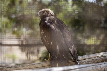 کلینیک بازپروری پارک پردیسان