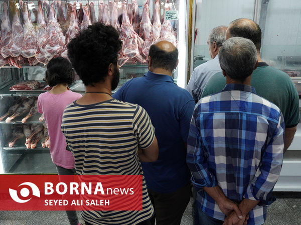 توزیع گوشت گرم وارداتی با نظارت وزارت جهاد