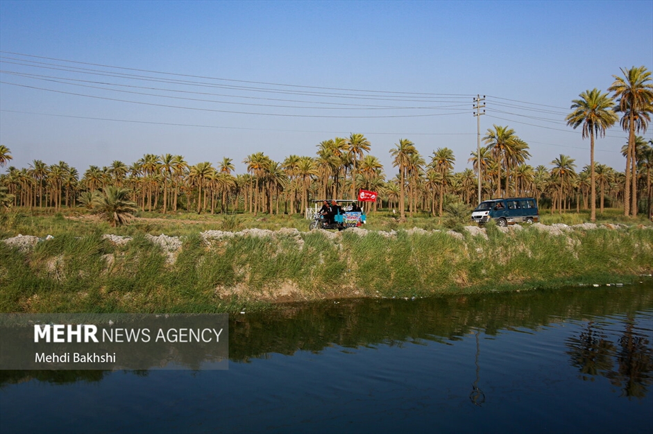 پیاده روی زائرین اربعین در منطقه بابلِ عراق