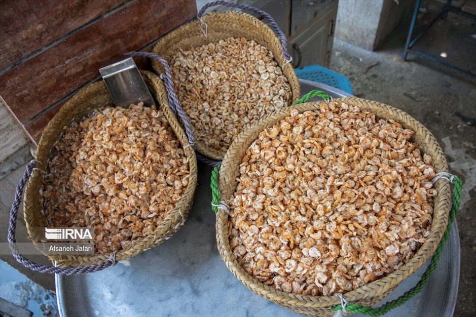 فروش میگوی صیادی