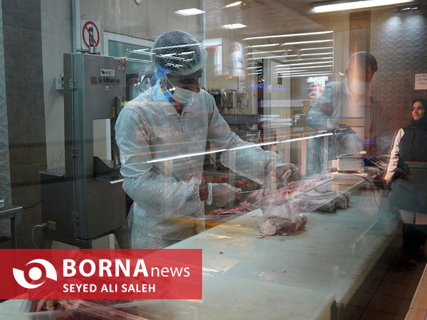 توزیع گوشت گرم وارداتی با نظارت وزارت جهاد