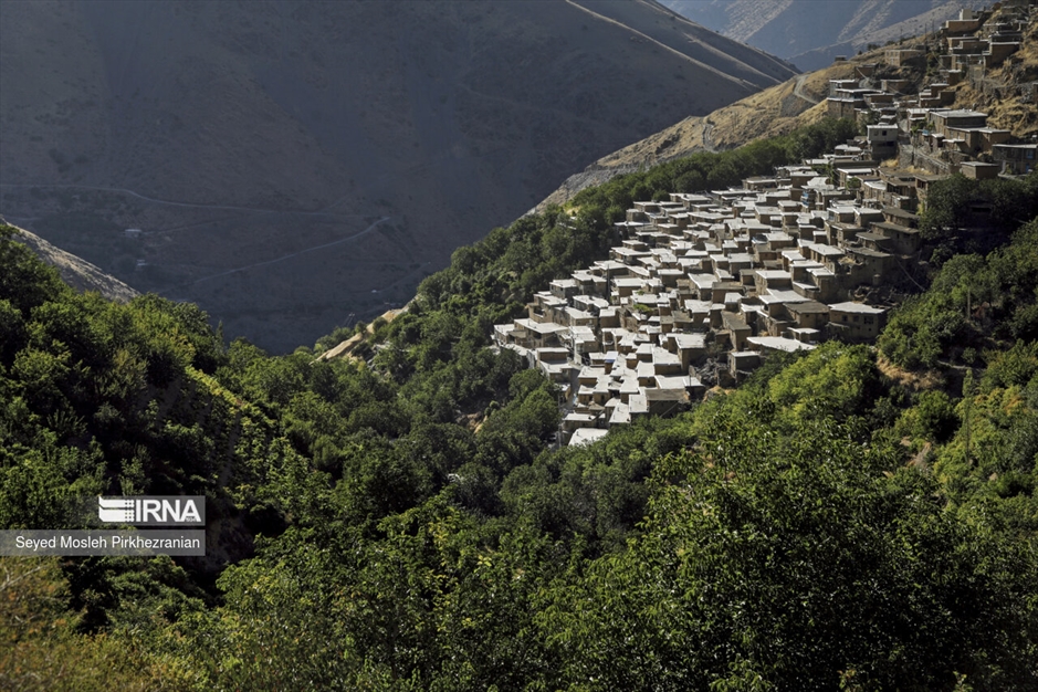 تولید کشمش «بولاو»