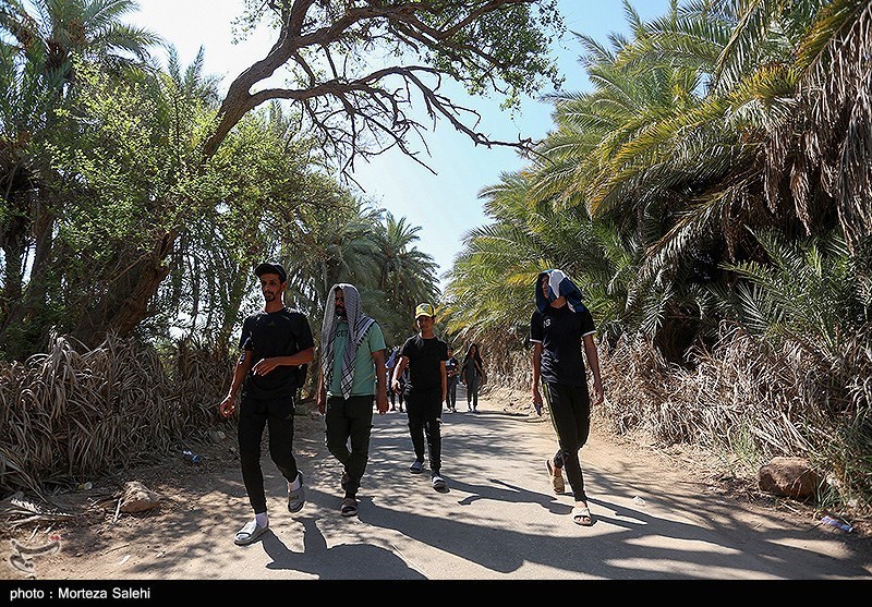 پیاده روی زائرین اربعین حسینی در مسیر نجف به حله