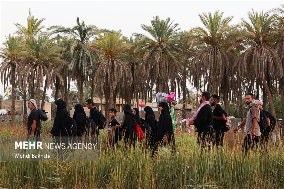 پیاده روی زائرین اربعین در منطقه بابلِ عراق