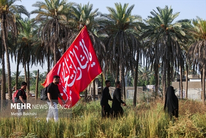 پیاده روی زائرین اربعین در منطقه بابلِ عراق