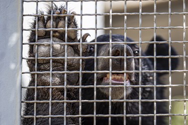 کلینیک بازپروری پارک پردیسان