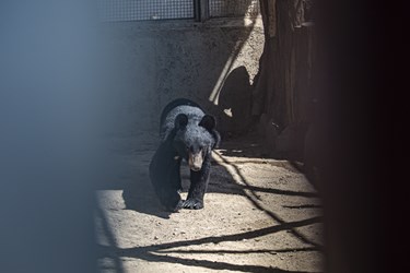 کلینیک بازپروری پارک پردیسان