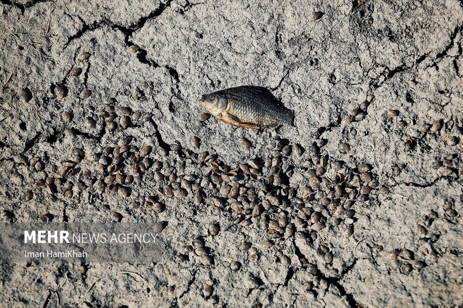 نفس‌های آخر «تالاب پیرسلمان»