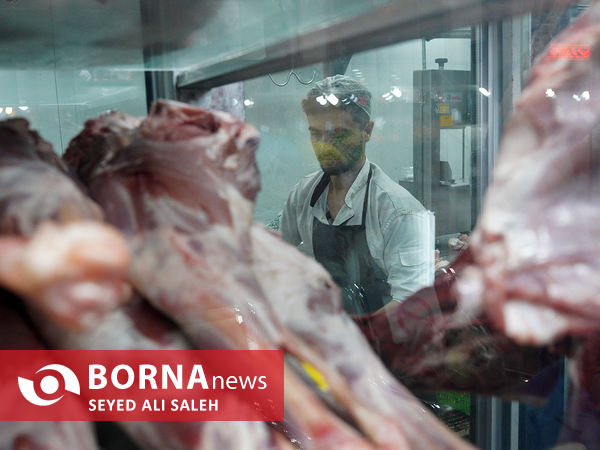 توزیع گوشت گرم وارداتی با نظارت وزارت جهاد