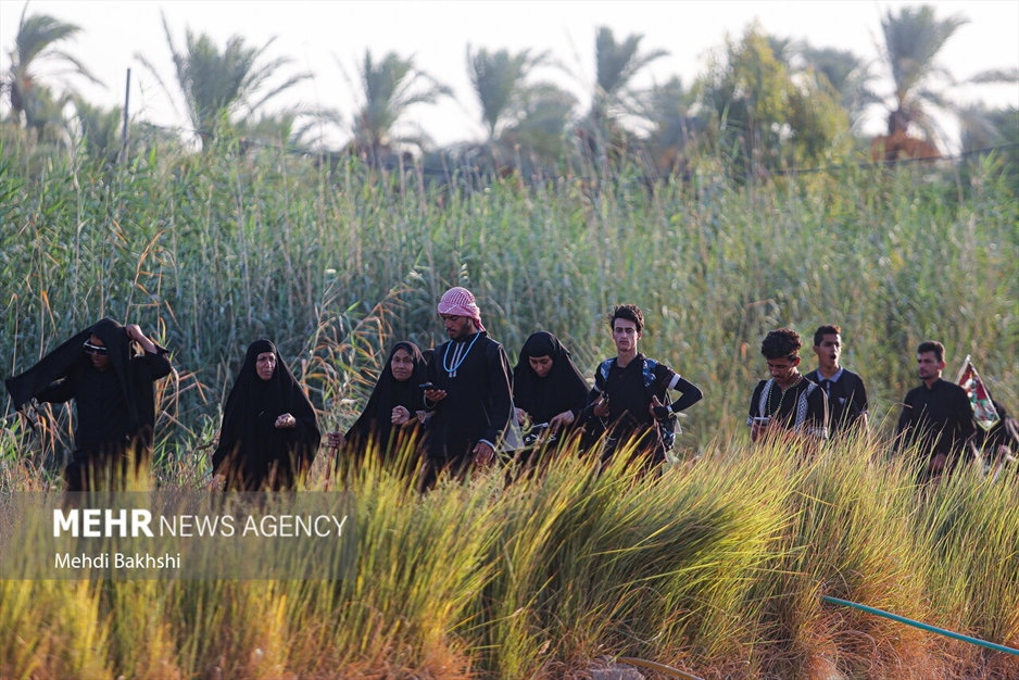 پیاده روی زائرین اربعین در منطقه بابلِ عراق