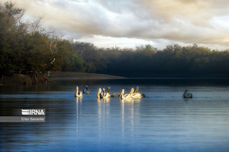 تالاب بین المللی آذینی