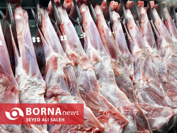 توزیع گوشت گرم وارداتی با نظارت وزارت جهاد