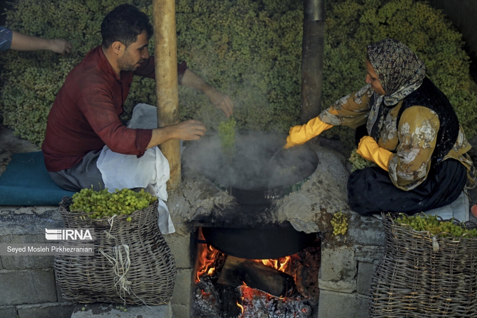 تولید کشمش «بولاو»