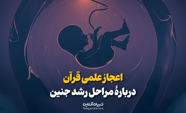 اعجاز علمی قرآن دربارۀ مراحل رشد جنین