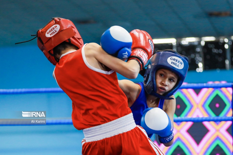 مسابقات بوکس خردسالان