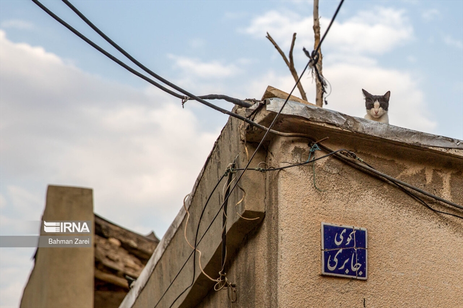 محله "فیض‌آباد"