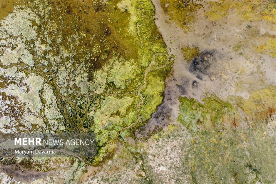 خشک شدن سد بارزو شیروان