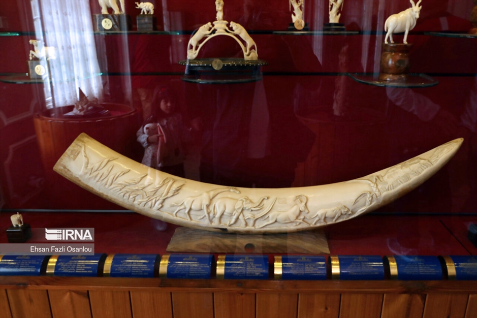 پردیس فرهنگی شهدای رامسر