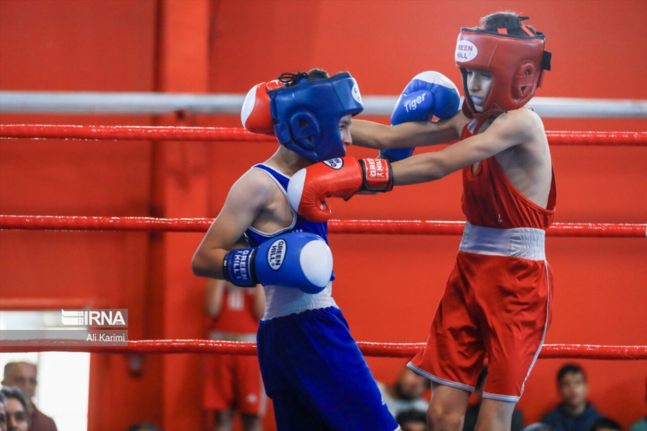 مسابقات بوکس خردسالان