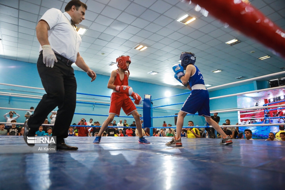 مسابقات بوکس خردسالان