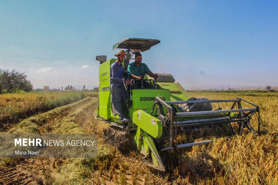 میانه قطب کشاورزی استان آذربایجان شرقی