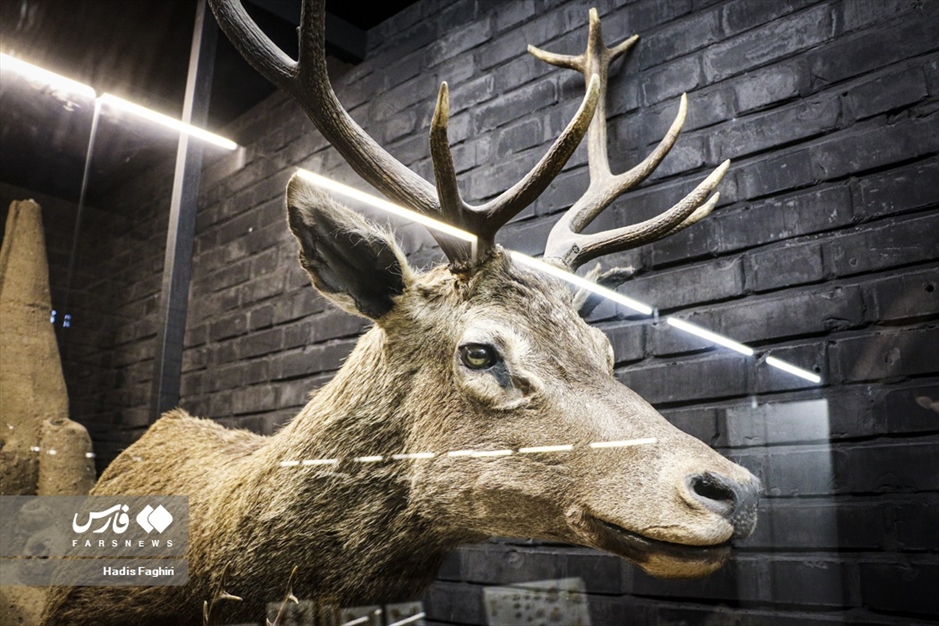 سفری بدون کوله به جهان طبیعت