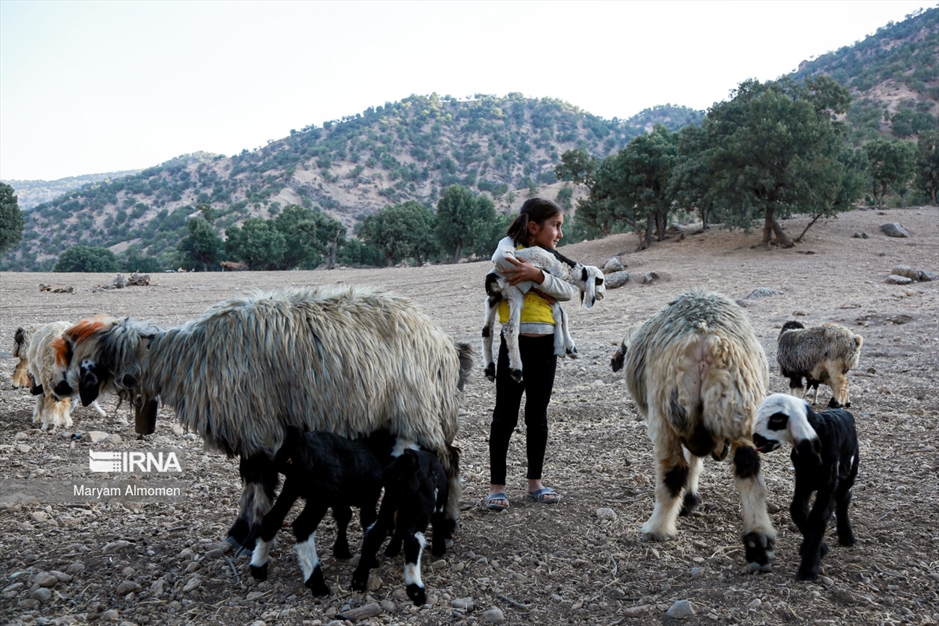 مدرسه ی تک کلاسه حره دان