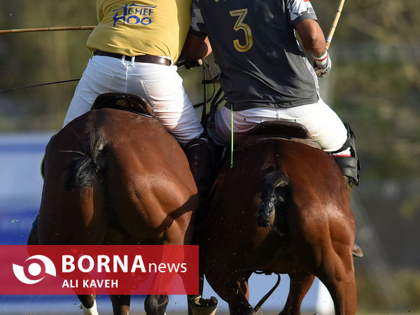 لیگ ملی چوگان گرامیداشت استاد مهدیقلی ذوالفقاری